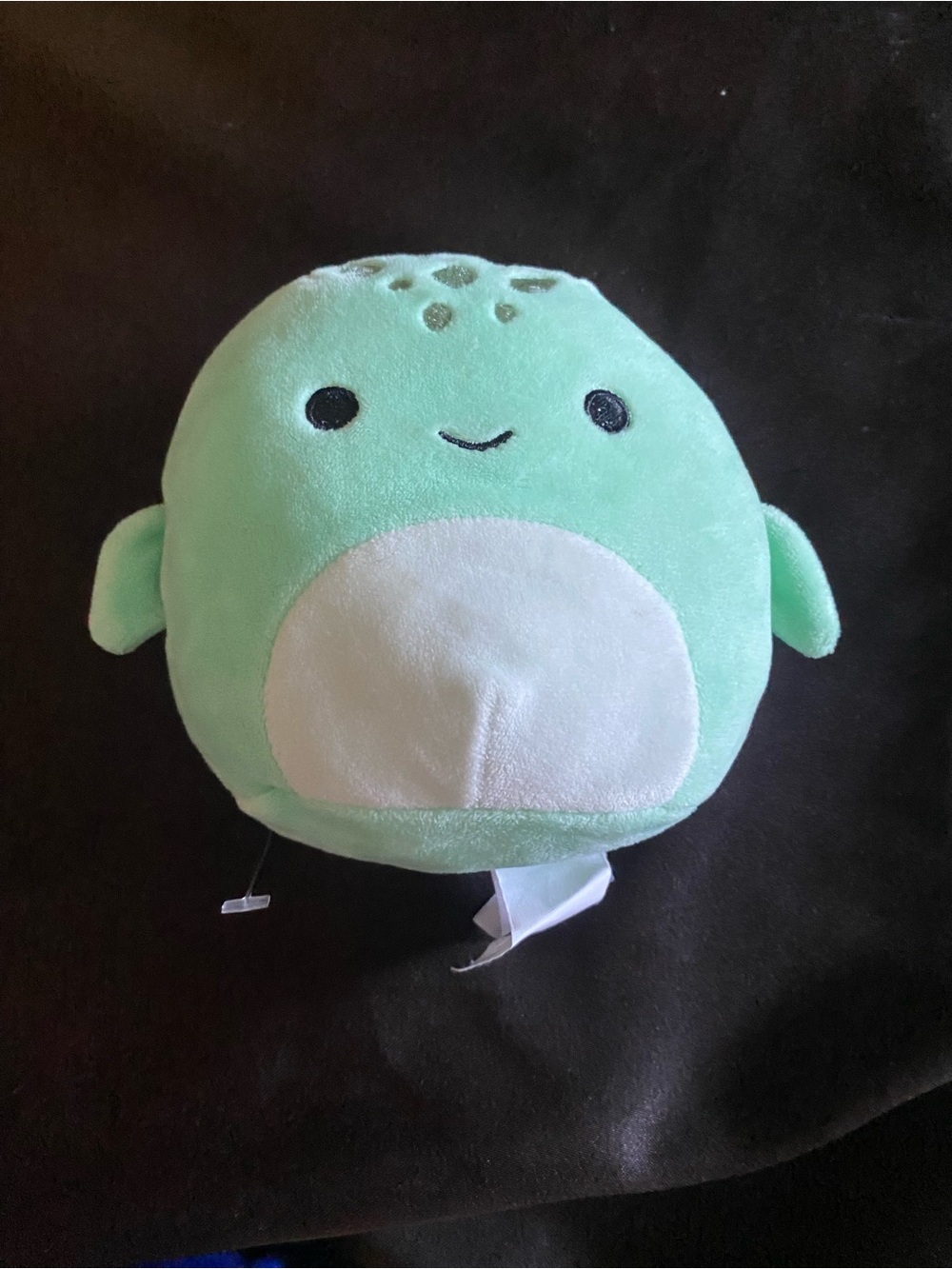 Squishmallow Cole the sea turtle plush